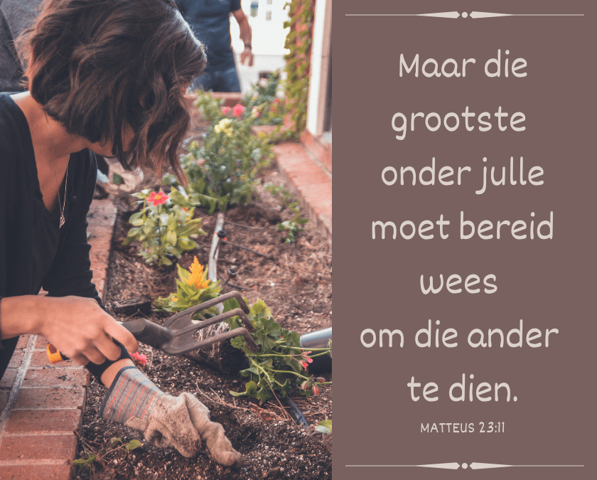 Dienaar