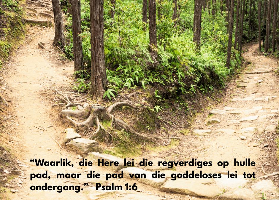 Kies die regte pad!