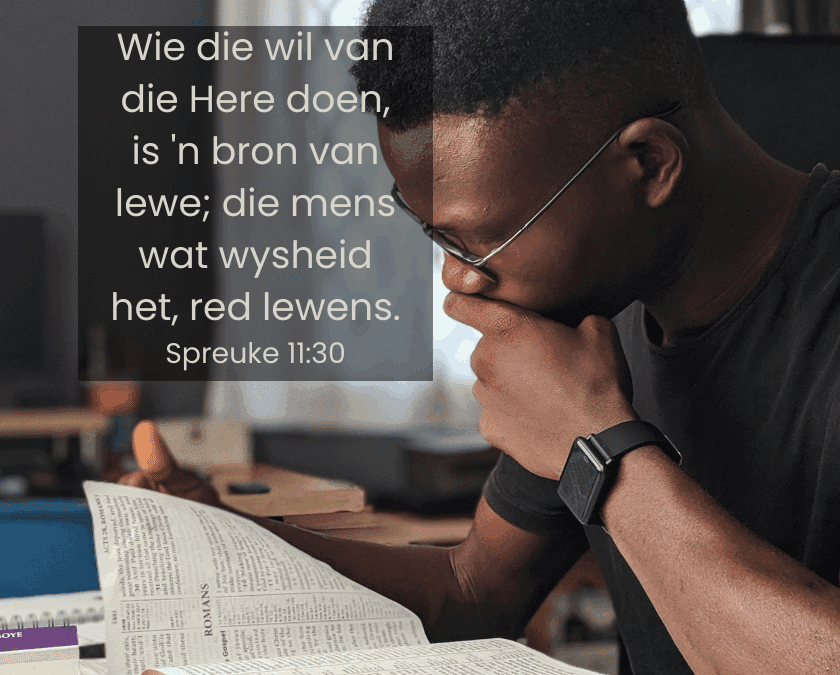 Sonder bybedoelings