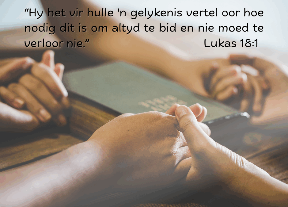 Geloof in die seun van die mens