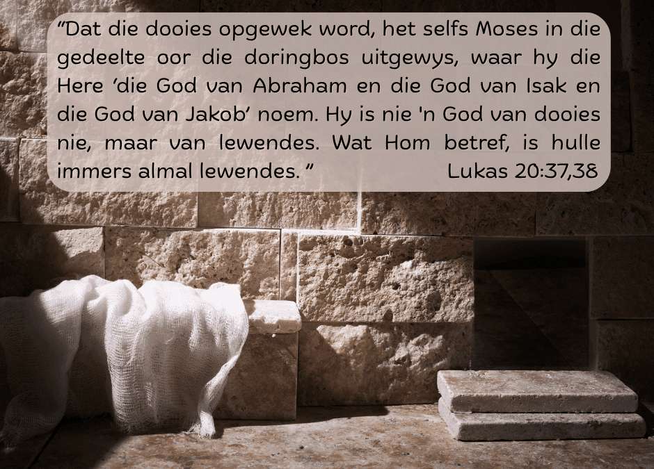 Die bronne van ons Geloof