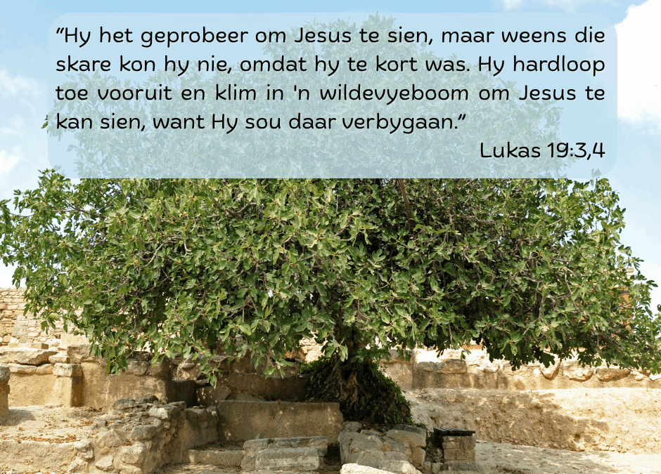 Die Seun van die mens het gekom