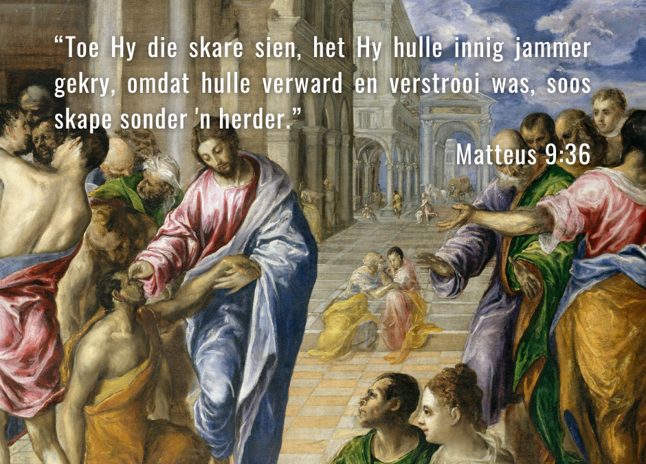 Jesus het die skare gesien en hulle innig jammer gekry