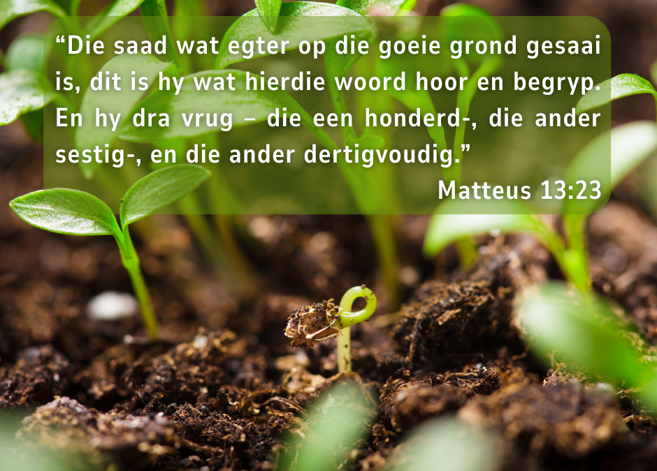 Waar die saad val en vrug dra