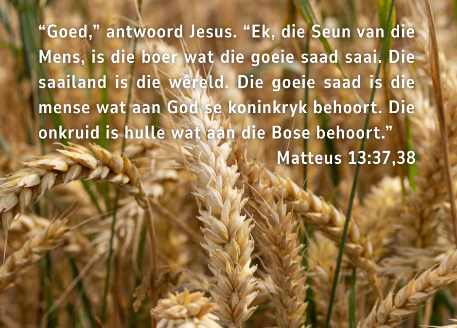 Wag op die tyd van God se vrug