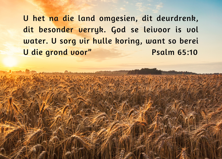 Die Here versorg die aarde en gee oorvloedige opbrengs