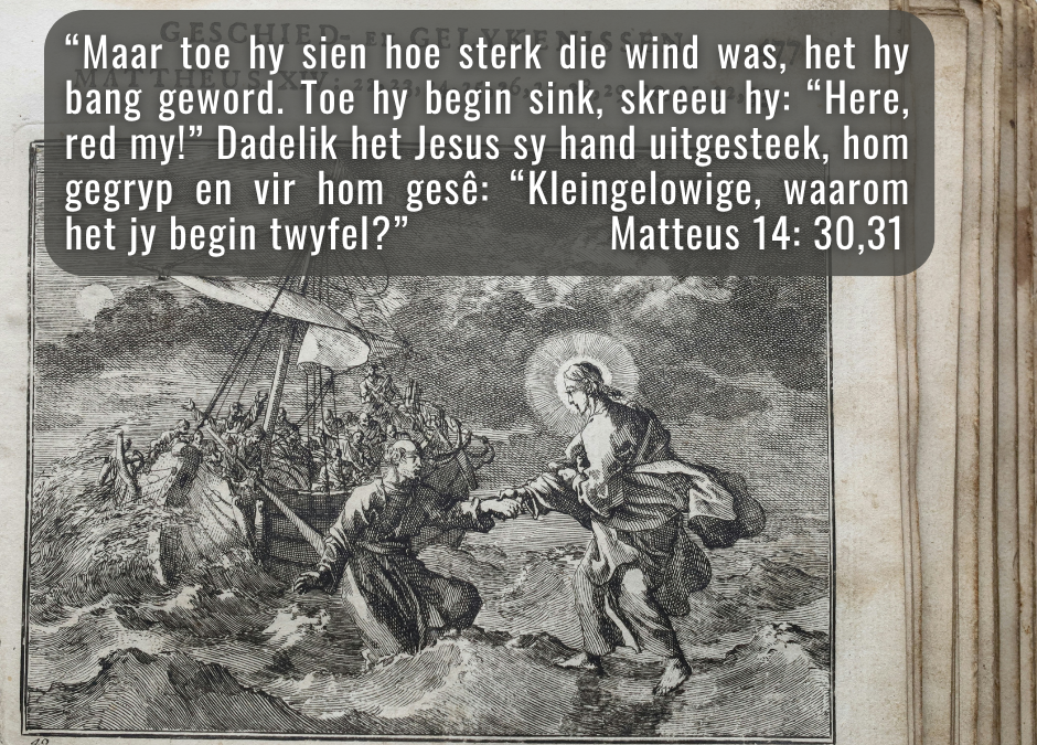 Waarlik, U is die Seun van God!