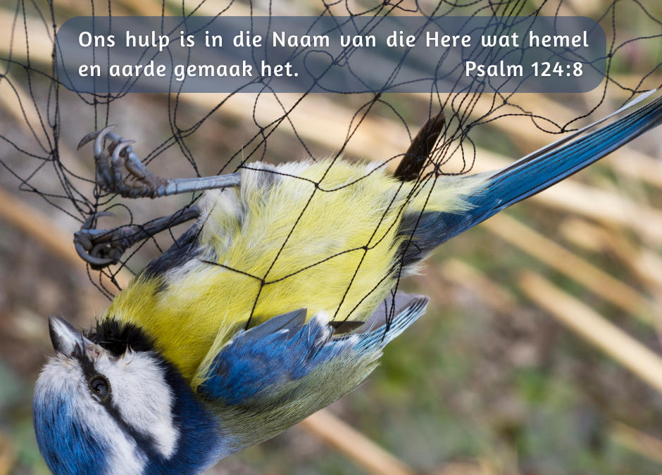 Hoe verklaar mens dit op enige ander manier?
