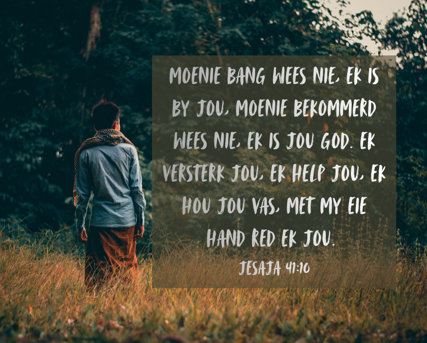 Moenie bang wees nie