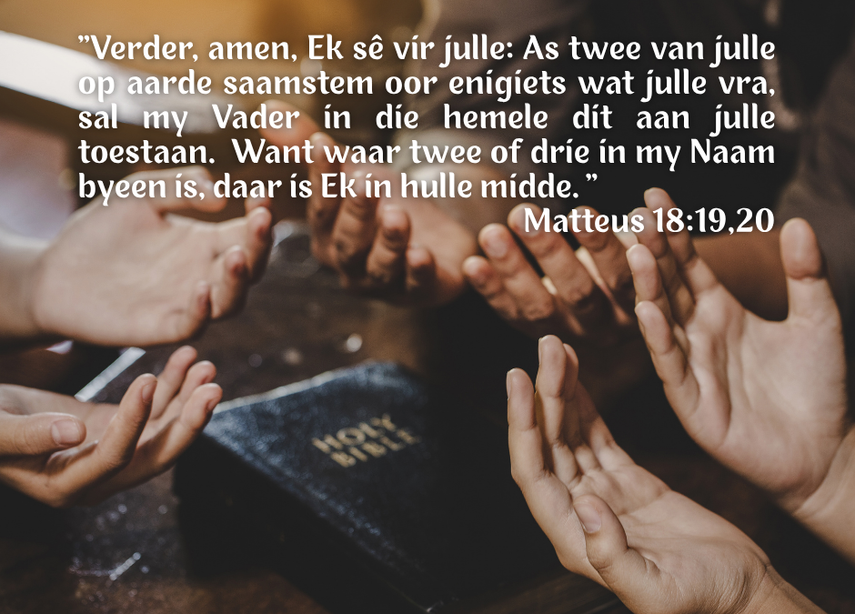 Om jou broer terug te wen