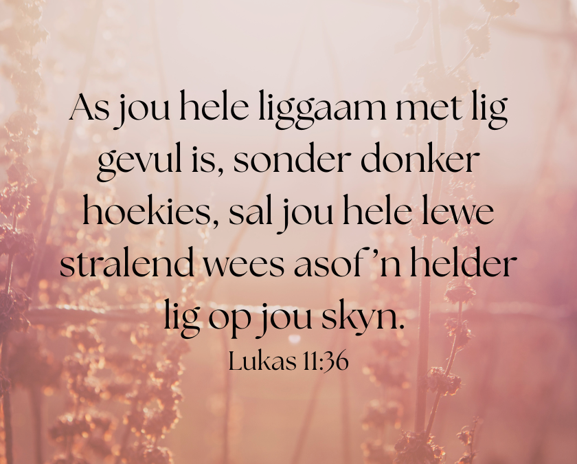 Hoe jy na die lewe kyk