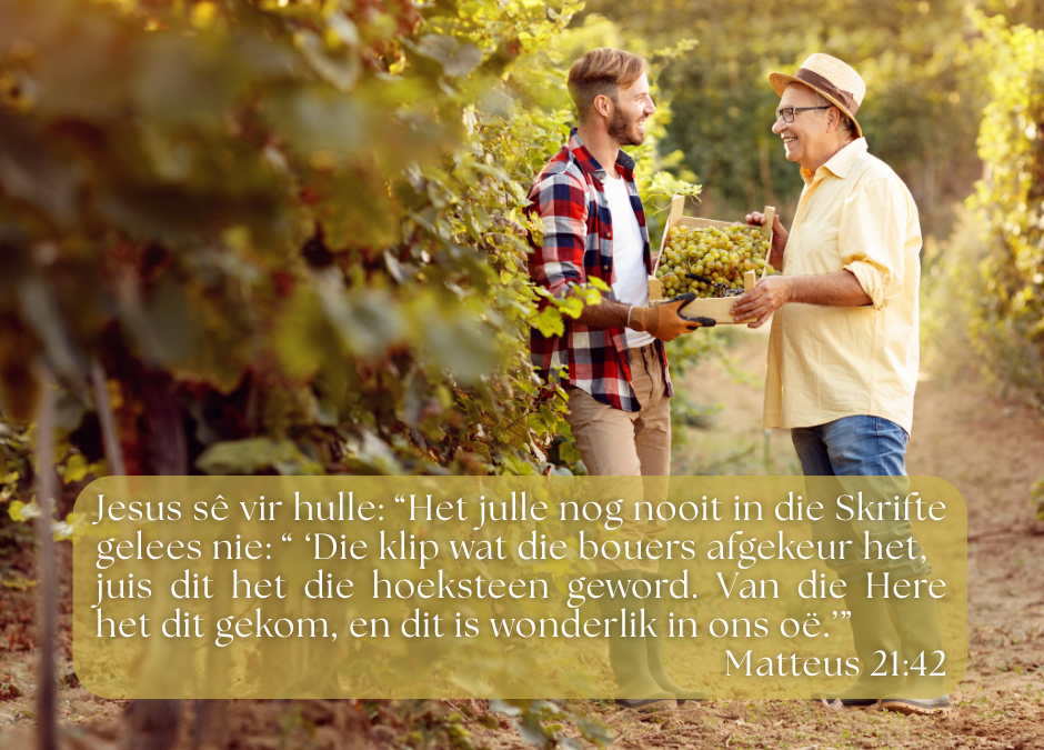 Die geestelike leiers verwerp die boodskap oor wie Jesus is